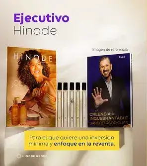 Executivo Hinode Group